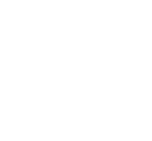 New Maxus